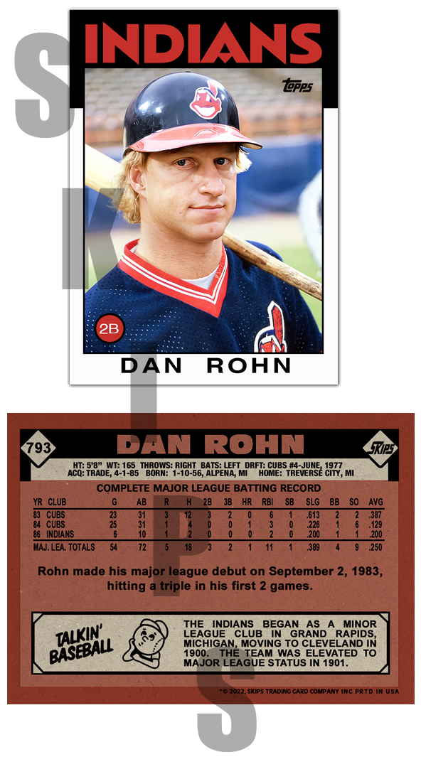 1986 STCC #793 Dan Rohn Chicago Cubs Custom